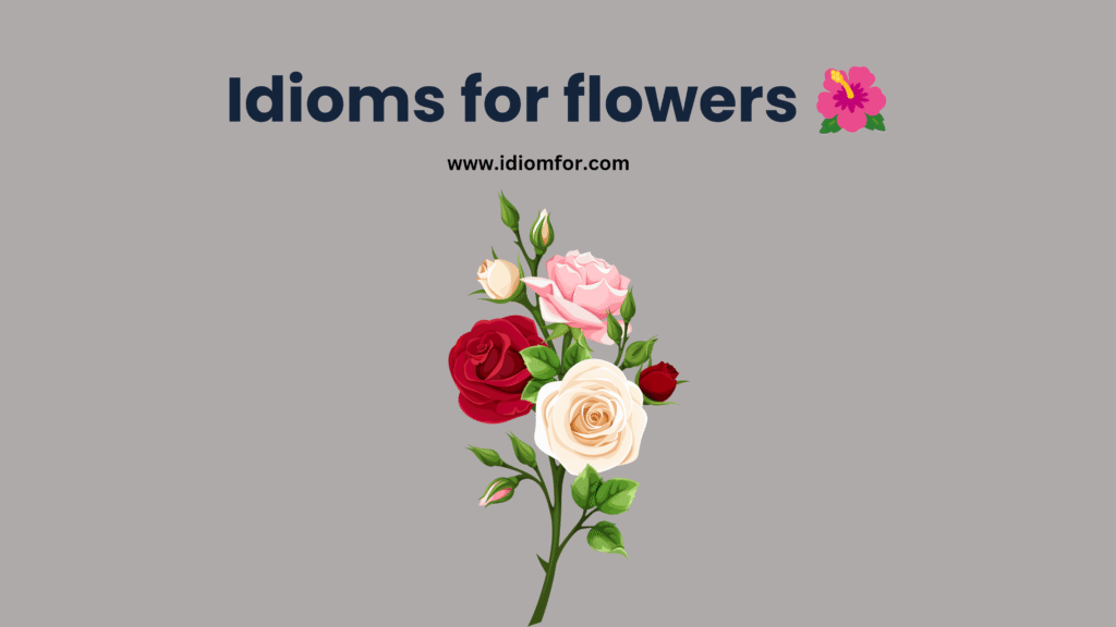 Idioms for flowers