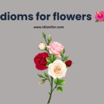 Idioms for flowers