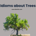 Idioms for trees