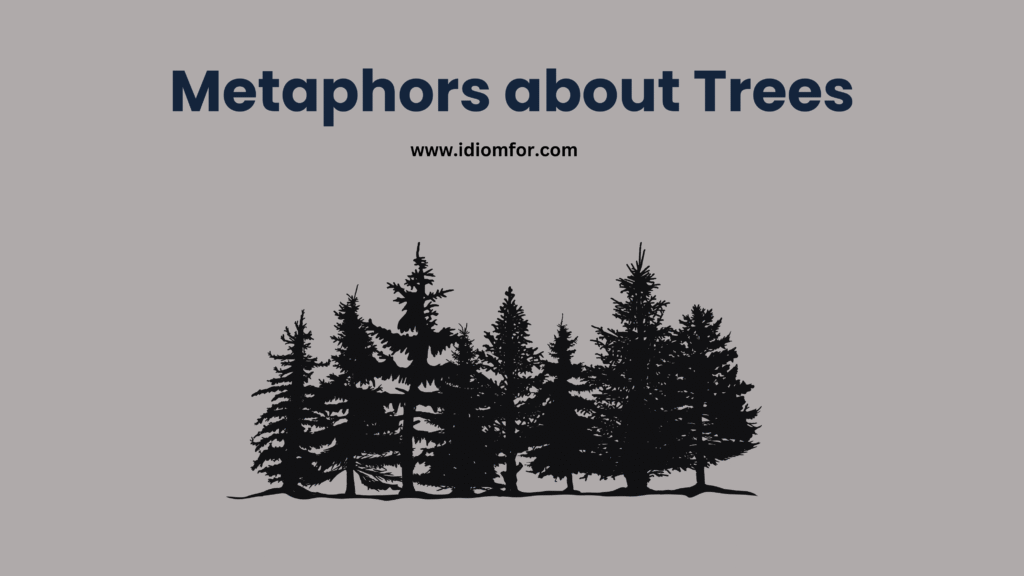 Metaphors for trees