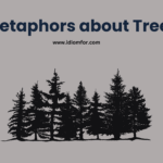 Metaphors for trees